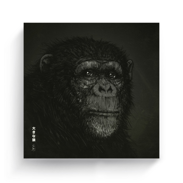 Fotoplátno čtverec s potiskem Big Ape XIII